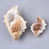 Natural Conch Shell Beads SSHEL-T015-04-2