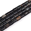Natural Biotite Beads Strands G-T140-57-4