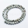 Natural Sesame Jasper/Kiwi Jasper Beads Strands G-I199-29-10mm-2