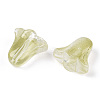 Spray Painted Transparent Glass Beads GLAA-D006-20E-2