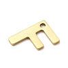 304 Stainless Steel Charms LS-STAS-B093-12G-F-2
