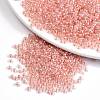 12/0 Glass Seed Beads SEED-A015-2mm-2205-1