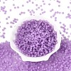 FGB Frosted Transparent Glass Seed Beads SEED-N013-04A-07-2