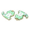 Alloy Enamel Pendants FIND-C037-20G-01-2
