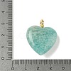 Natural Amazonite Pendants X-G-P585-03G-10-3