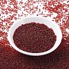 MIYUKI Round Rocailles Beads SEED-X0054-RR0304-2