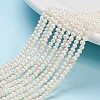Natural Cultured Freshwater Pearl Beads X-PEAR-D050-1-1