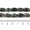 Natural Moss Agate Beads Strands G-Q194-B03-01-5