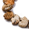 Natural Picture Jasper Beads Strands G-F783-G03-01-4