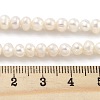 Natural Cultured Freshwater Pearl Beads Strands PEAR-C003-17C-5