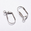 Tarnish Resistant 304 Stainless Steel Leverback Earring Findings LS-STAS-K146-036-19mm-1