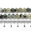 Natural Prehnite Beads Strands X-G-G140-A19-08-5