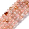 Natural Cherry Blossom Agate Beads Strands G-B130-6mm-02-2