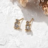Brass Micro Pave Clear Cubic Zirconia Stud Earrings EJEW-R016-01G-02-1