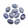 Natural Blue Spot Jasper Cabochons G-R415-14x10-45-1