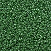 MIYUKI Round Rocailles Beads SEED-X0054-RR0431-3