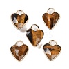 Natural Tiger Eye Faceted Pendans KK-L218-005G-01-1
