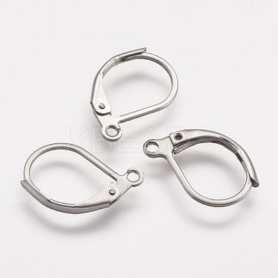 Tarnish Resistant 316 Surgical Stainless Steel Leverback Earring Findings LS-X-STAS-P113-01-1
