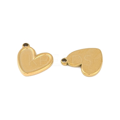 Ion Plating(IP) 304 Stainless Steel Pendants STAS-C106-03G-1