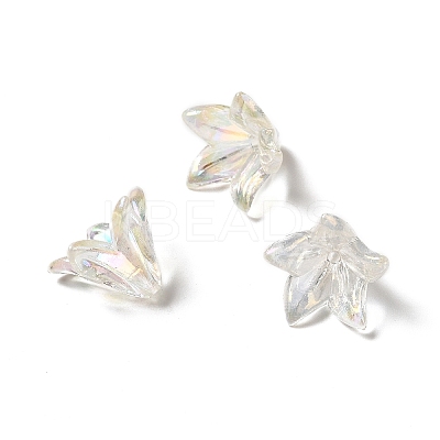 Transparent Acrylic Bead Caps X-OACR-H016-05-1