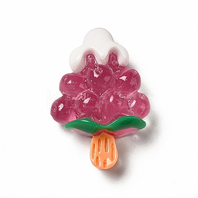 Translucent Resin Imitation Food Decoden Cabochons CRES-A052-01E-1