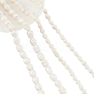 4Strands 2 Styles Natural Cultured Freshwater Pearl Beads Strands PEAR-NB0001-64-1