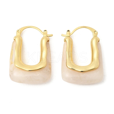 Brass Resin Hoop Earrings EJEW-P333-11B-G01-1