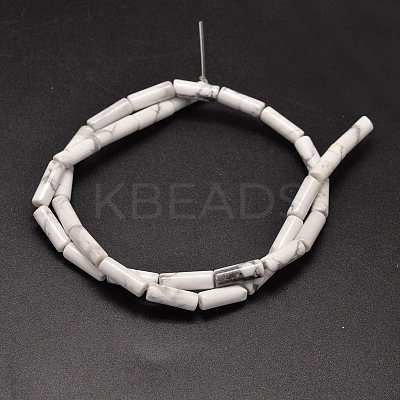 Natural Howlite Column Beads Strands X-G-F247-07-1