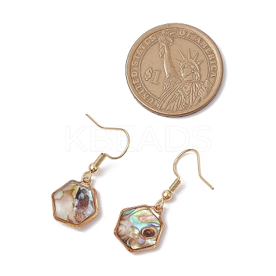 Natural Paua Shell Dangle Earrings EJEW-JE06274-1