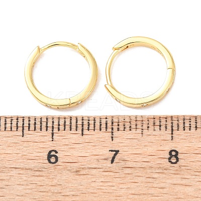 925 Sterling Silver Micro Pave Clear Cubic Zirconia Hoop Earrings EJEW-K317-04G-1