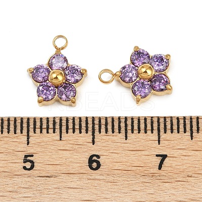 304 Stainless Steel Micro Pave Cubic Zirconia Charms STAS-B088-01G-05-1