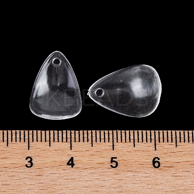Transparent Acrylic Pendants TACR-G050-01D-1