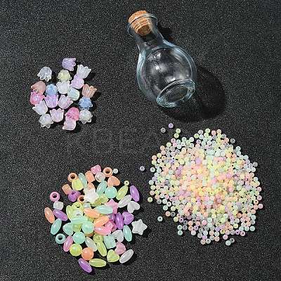 Luminous Acrylic Beads Wish Bottle DIY Making Kits DIY-FS0007-58-1
