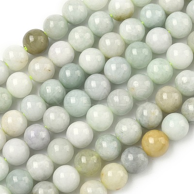 Natural Myanmar Jade/Burmese Jade Beads Strands G-K310-C05-8mm-01-1