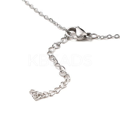 Non-Tarnish Stainless Steel Pendants Necklaces LS-NJEW-K267-01C-P-1
