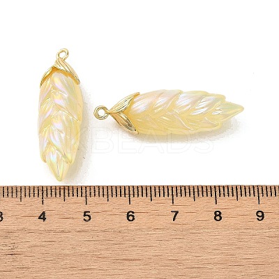 Rainbow Iridescent Plating Resin Pendants RESI-C047-03C-G-1