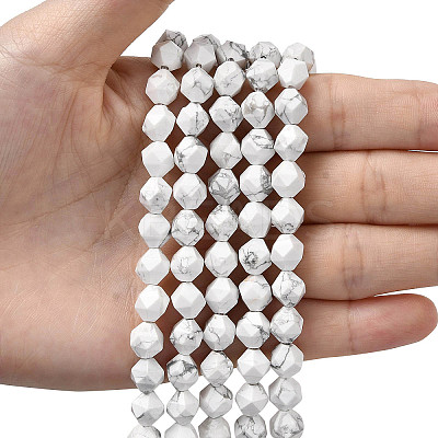 Natural Howlite Beads Strands G-Z119-A43-02-1