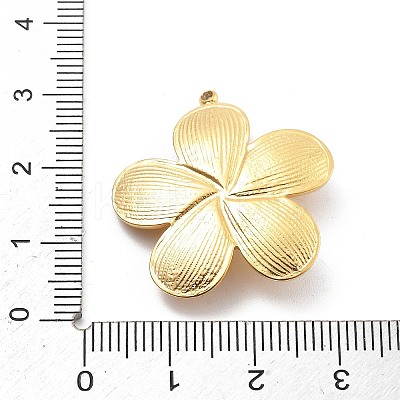 304 Stainless Steel Pendants STAS-R155-042G-02-1