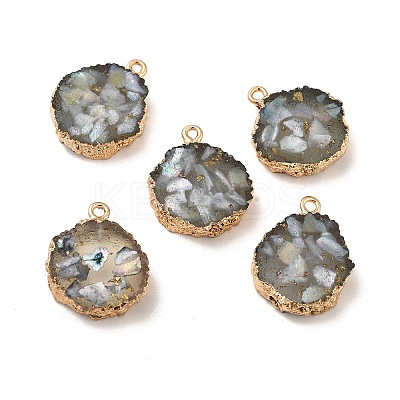 Transparent Resin Pendants CRES-F022-03D-1