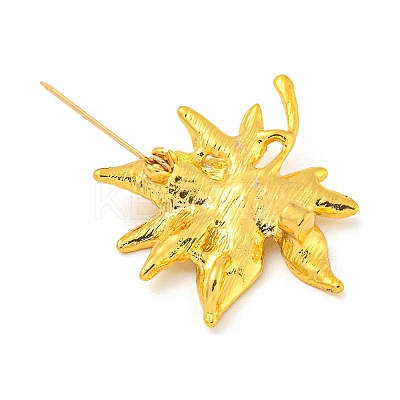 Leaf Shape Alloy Brooch LS-JEWB-U006-01G-1