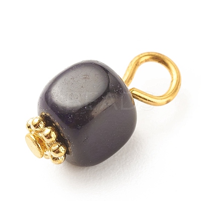 Natural Agate Pendants PALLOY-JF01586-05-1