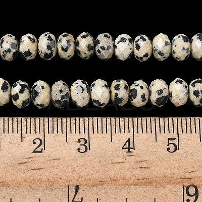 Natural Dalmatian Bead Strands G-D344-A26-1