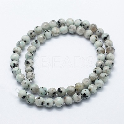 Natural Sesame Jasper/Kiwi Jasper Beads Strands G-I199-29-10mm-1