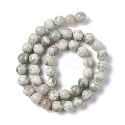 Natural Peace Jade Beads Strands G-G905-07-1