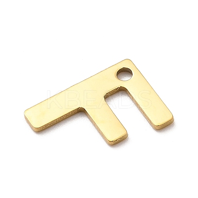 304 Stainless Steel Charms LS-STAS-B093-12G-F-1