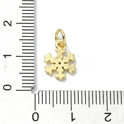 Brass Micro Pave Clear Cubic Zirconia Charms KK-H475-55G-01-1