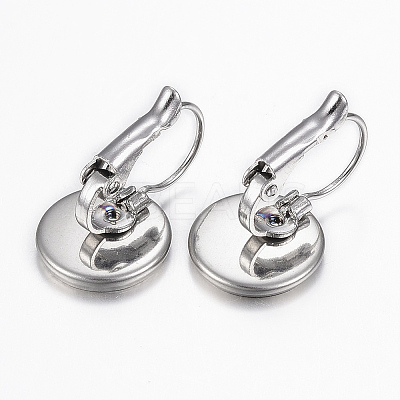 Tarnish Resistant 304 Stainless Steel Leverback Earring Findings X-STAS-H423-03P-1