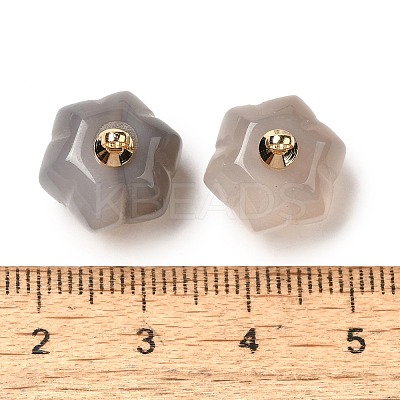 Natural Grey Agate Pumpkin Charms with Golden Tone Brass Bails G-C158-06G-03-1