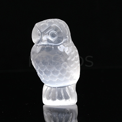 Owl Natural Selenite Figurines DJEW-PW0021-10-1