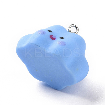 Opaque Resin Pendants RESI-D063-03-1